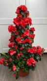 Азалия Пирамида красная 65 см 