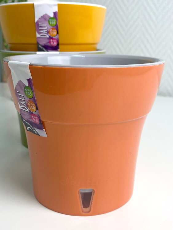 Горшок Дали 