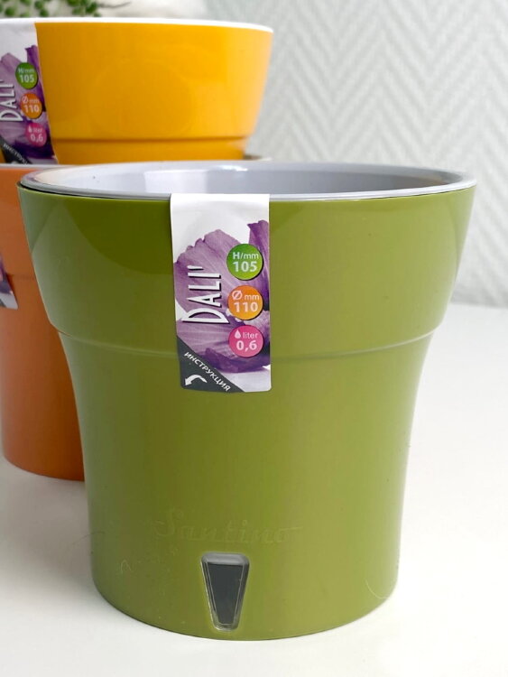 Горшок Дали 