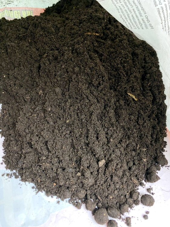 Грунт для кактусов и суккулентов Эффект 2,5 л 