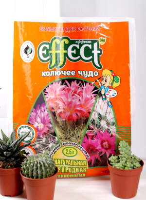 Грунт для кактусов и суккулентов Эффект 2,5 л