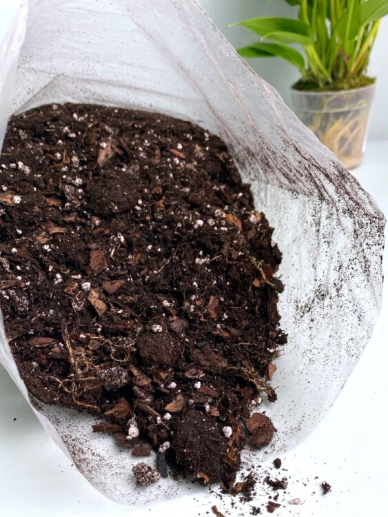 Грунт для антуриума 2 л 