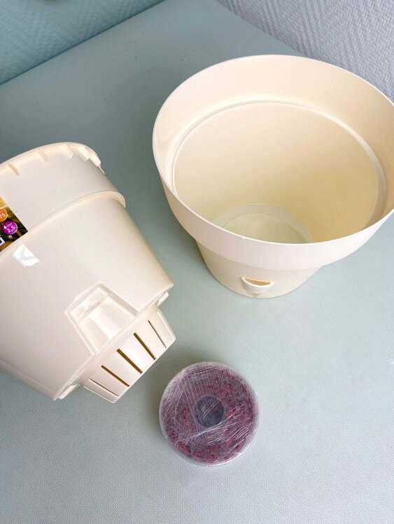 Горшок Латина 