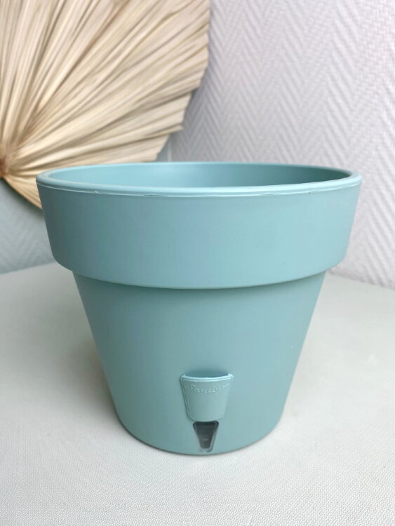 Горшок Латина 