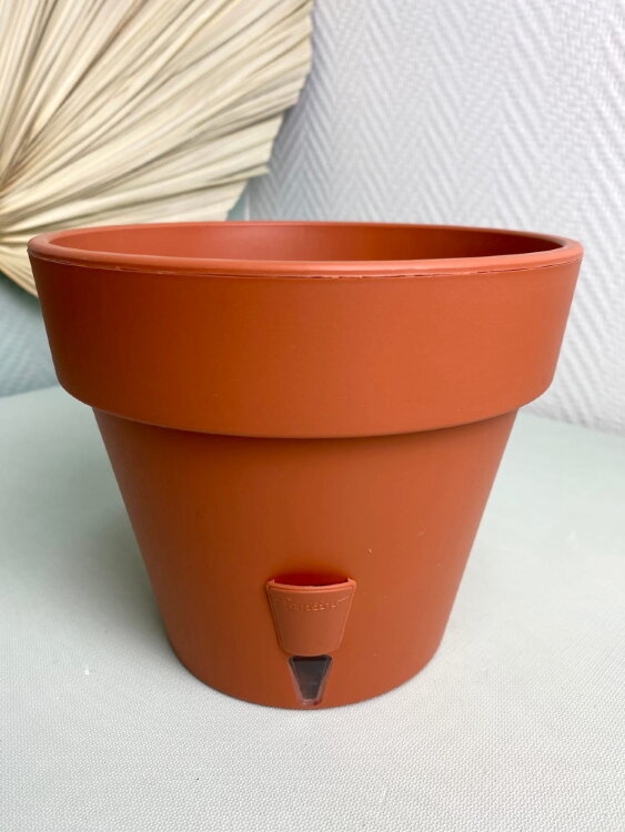 Горшок Латина 