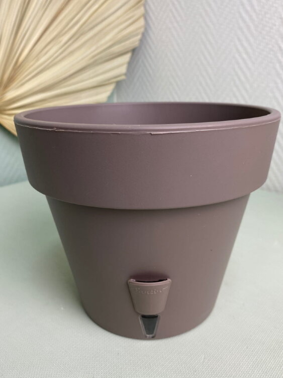 Горшок Латина 