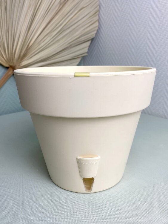 Горшок Латина 
