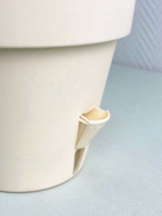 Горшок Латина 