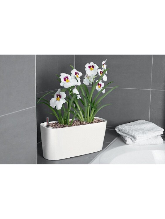 Кашпо Lechuza Delta 20 Белое 