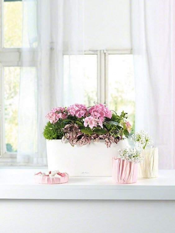 Кашпо Lechuza Delta 20 Белое 