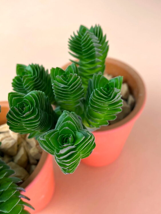 Крассула Храм Будды в керамике 