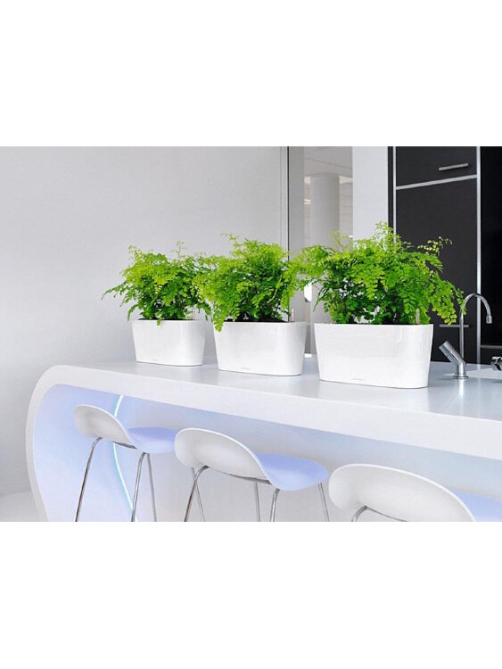 Кашпо Lechuza Delta 20 Антрацитовое 