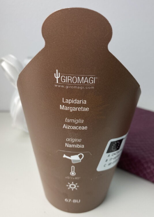 Лапидария Маргарет ⌀7 