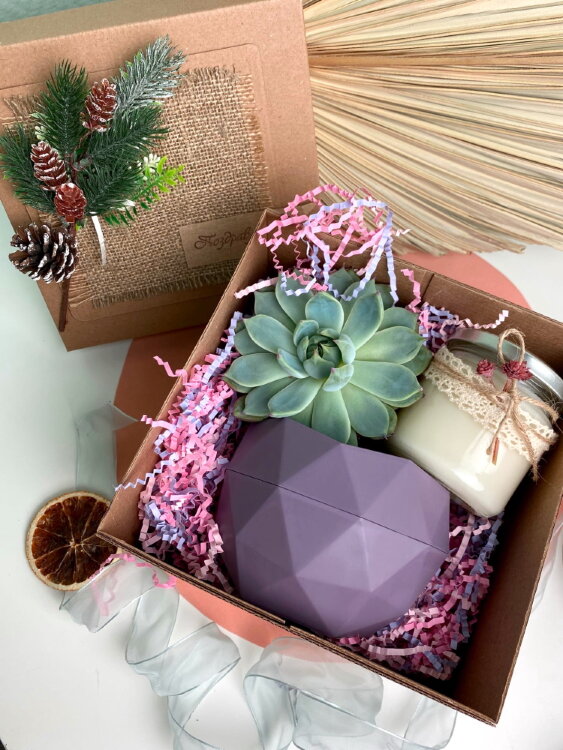 Подарочная коробочка с суккулентом и свечой  