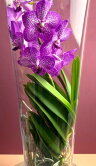 Орхидея Ванда лиловая в стекле Лисан 