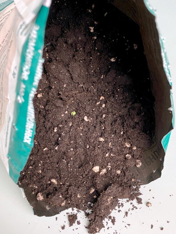 Грунт для Кактусов и Алоэ 2,5 л 