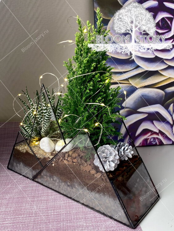 Флорариум с Кипарисовиком "Горы" 