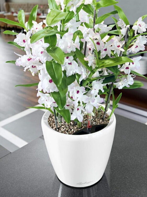 Кашпо Lechuza Classico LS белое 