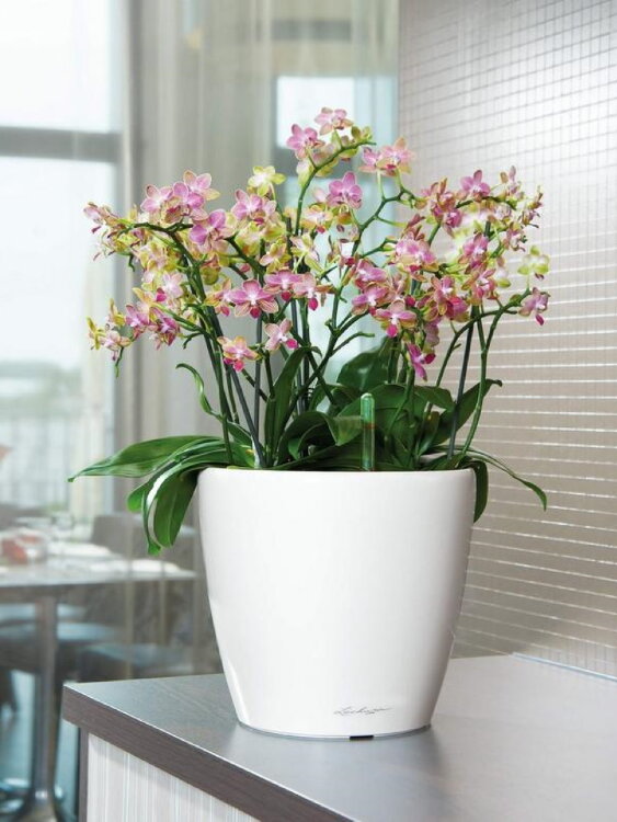 Кашпо Lechuza Classico LS белое 