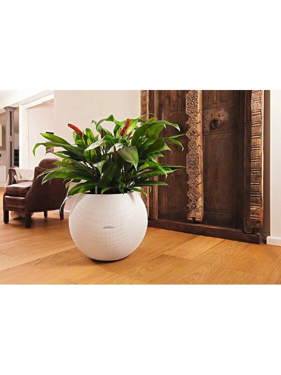 Кашпо Lechuza Puro Песочно-коричневое 