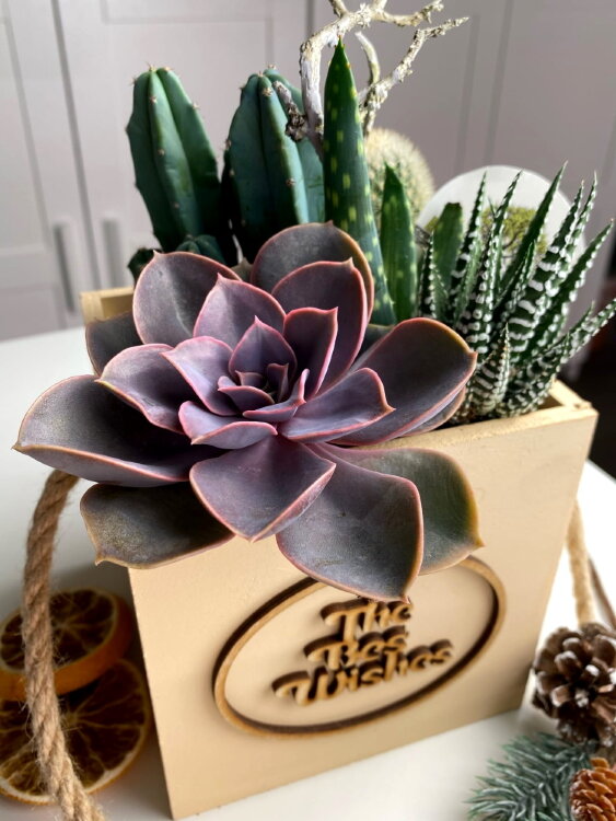 Композиция "С наилучшими пожеланиями!" 