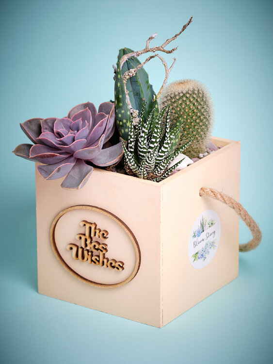 Композиция "С наилучшими пожеланиями!" 