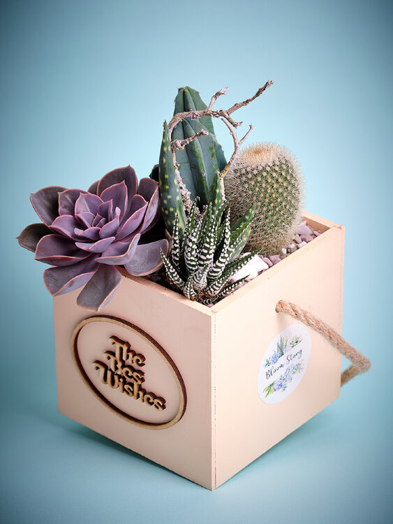 Композиция "С наилучшими пожеланиями!" 