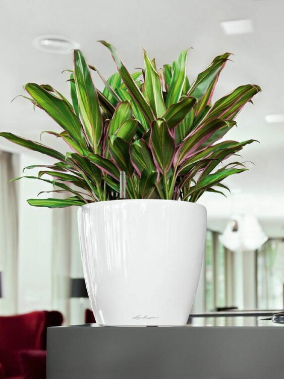 Кашпо Lechuza Classico LS Серебристый металлик 