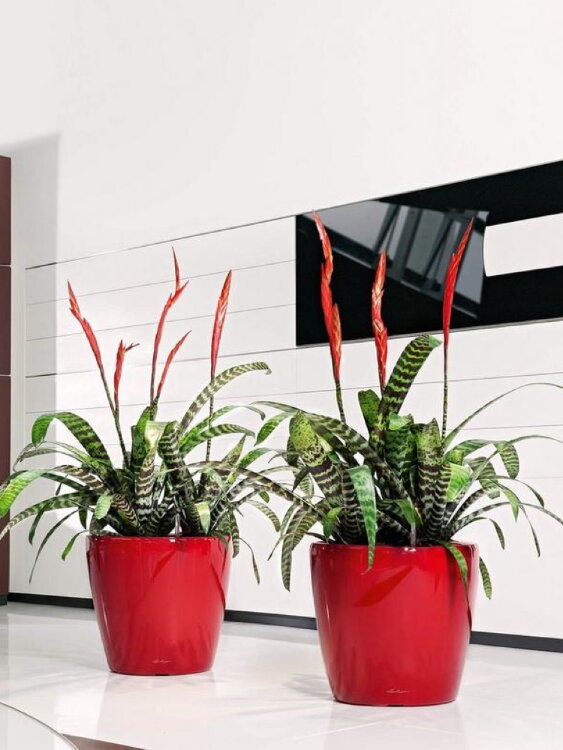 Кашпо Lechuza Classico LS Серебристый металлик 