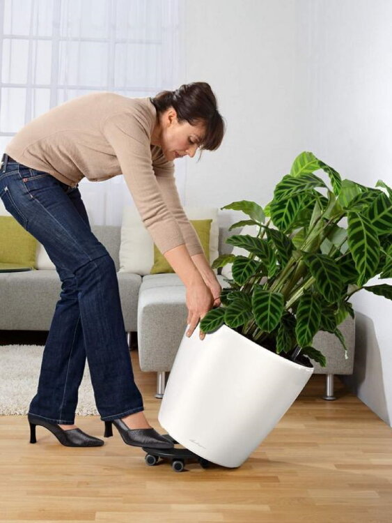 Кашпо Lechuza Classico LS Серебристый металлик 