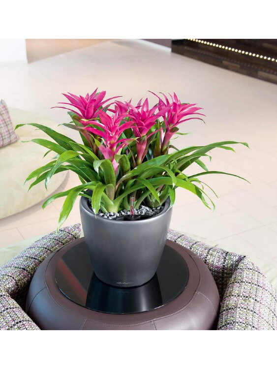 Кашпо Lechuza Classico LS Серебристый металлик 