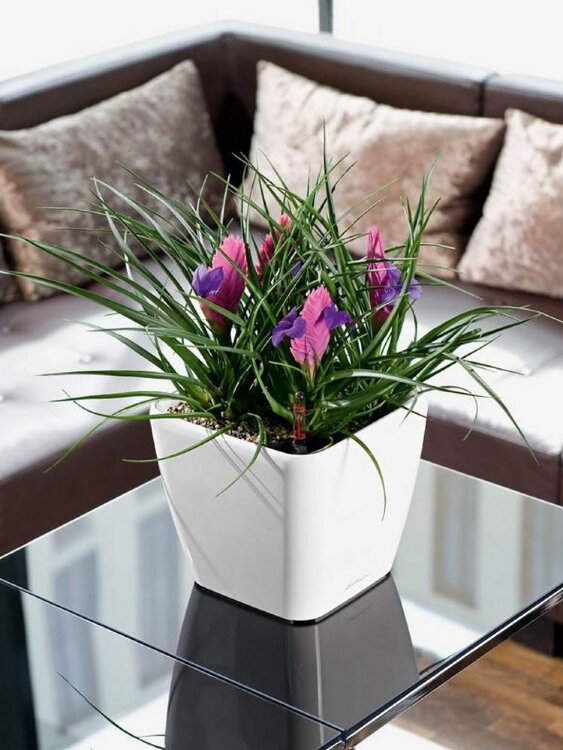 Кашпо Lechuza Quadro LS белое 