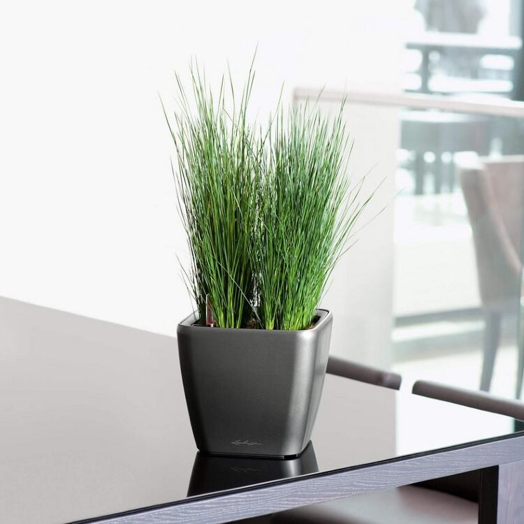 Кашпо Lechuza Quadro LS антрацит 