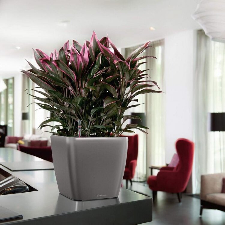 Кашпо Lechuza Quadro LS серебристый металлик 