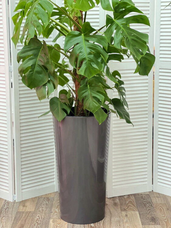 Горшок Лила серый глянец ⌀40 