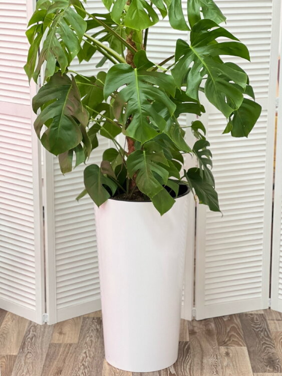 Горшок Лила белый глянец ⌀40 