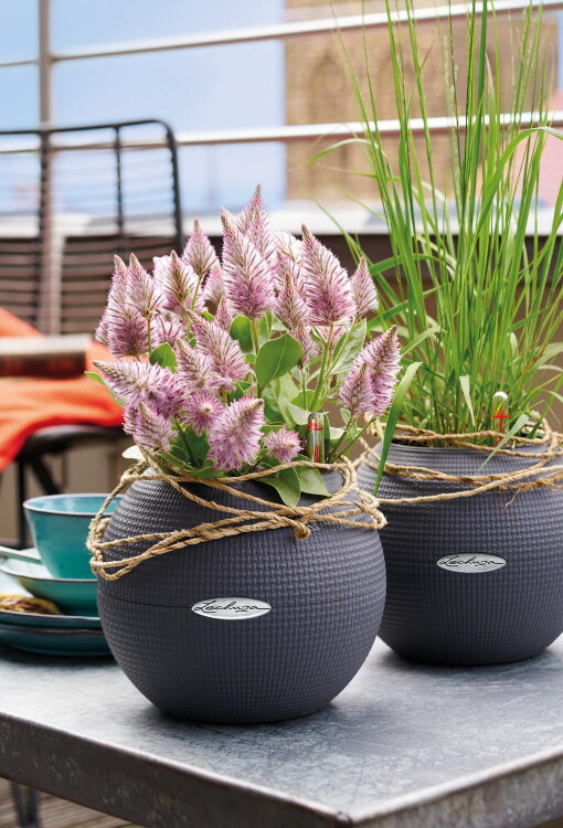 Кашпо Лечуза Пуро серое 