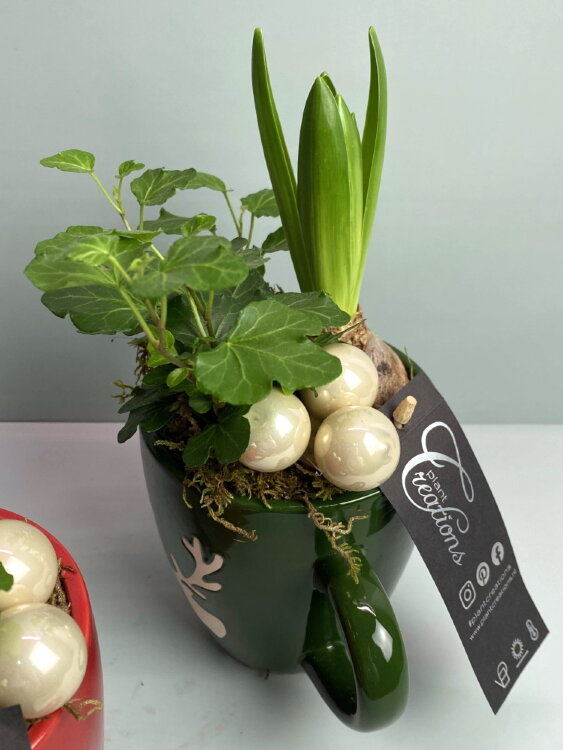 Гиацинт в кружке с декором 