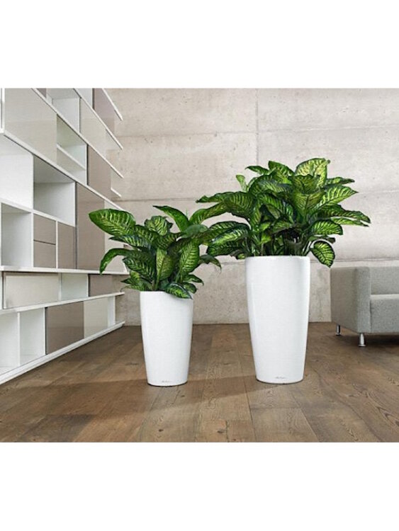 Кашпо Lechuza Rondo 32 Белый блестящий 