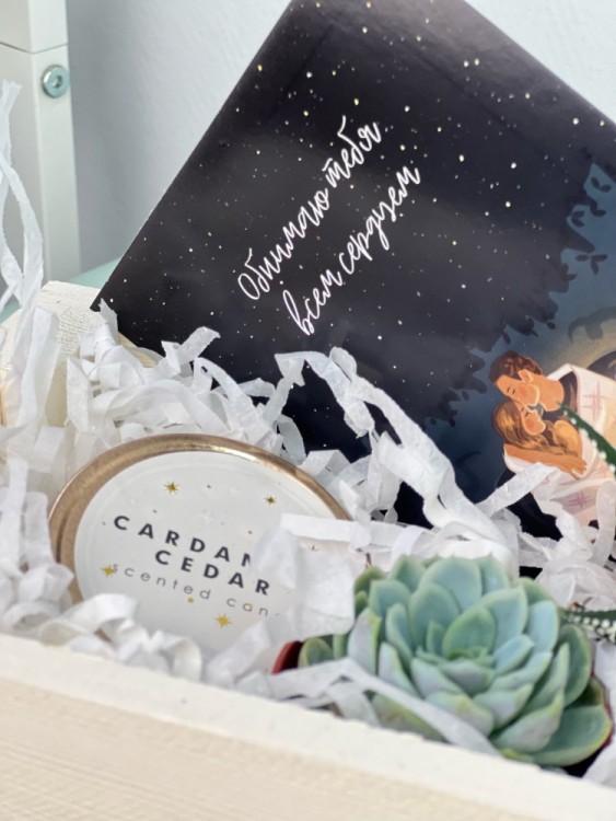 Набор подарочный с суккулентами белый 