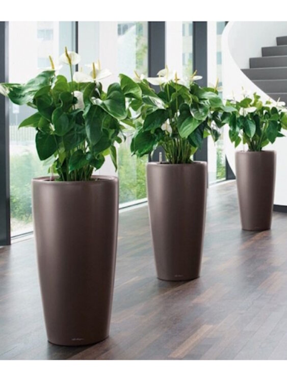 Кашпо Lechuza Rondo 32 Кофе металлик 