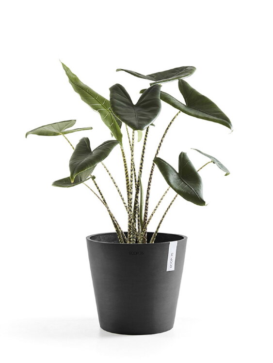 Кашпо Ecopots Amsterdam антрацит 