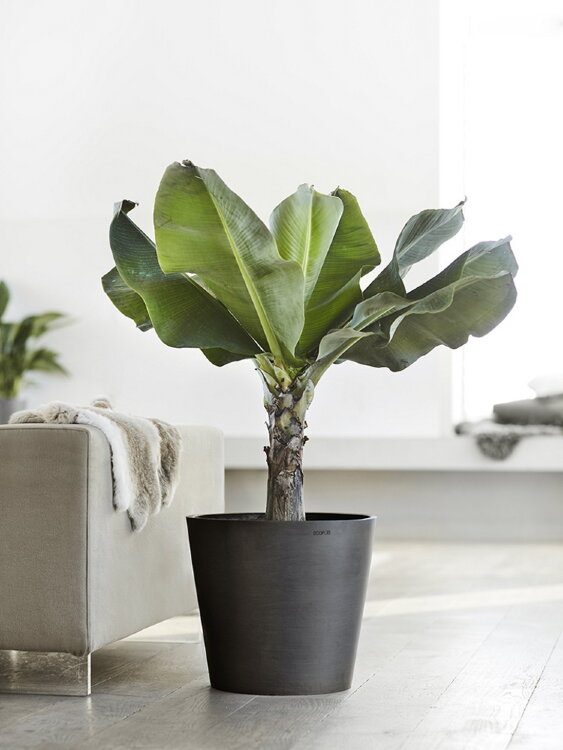 Кашпо Ecopots Amsterdam антрацит 