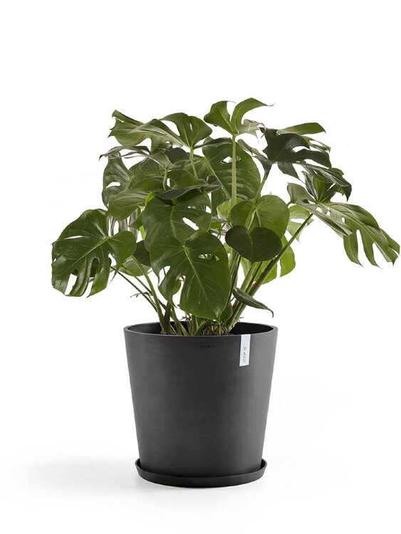 Кашпо Ecopots Amsterdam антрацит 