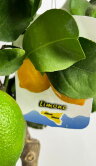 Цитрус Лимон штамбовый ⌀22 80 см 