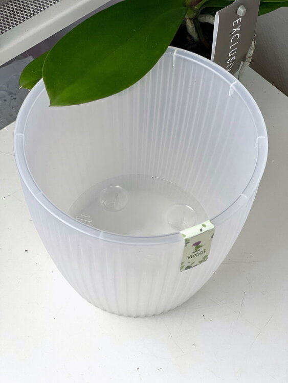 Горшок Эви прозрачный ⌀16 