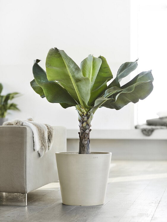 Кашпо Ecopots Amsterdam серо-коричневое 