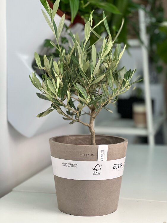 Кашпо Ecopots Amsterdam серо-коричневое 