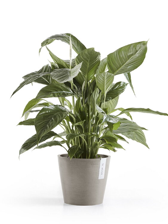 Кашпо Ecopots Amsterdam серо-коричневое 