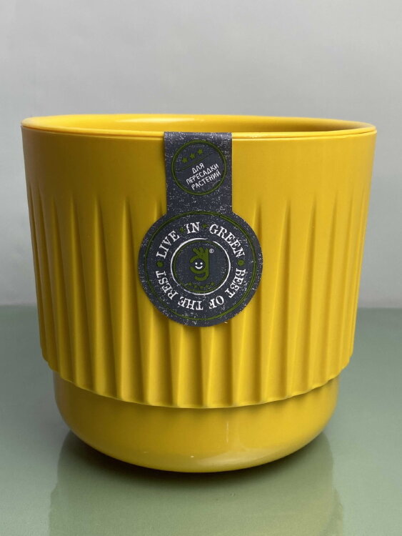 Горшок Бета 